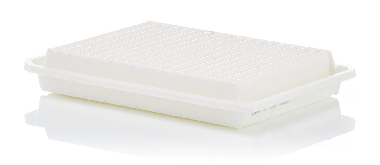 Product Image C30009_MANN-FILTER