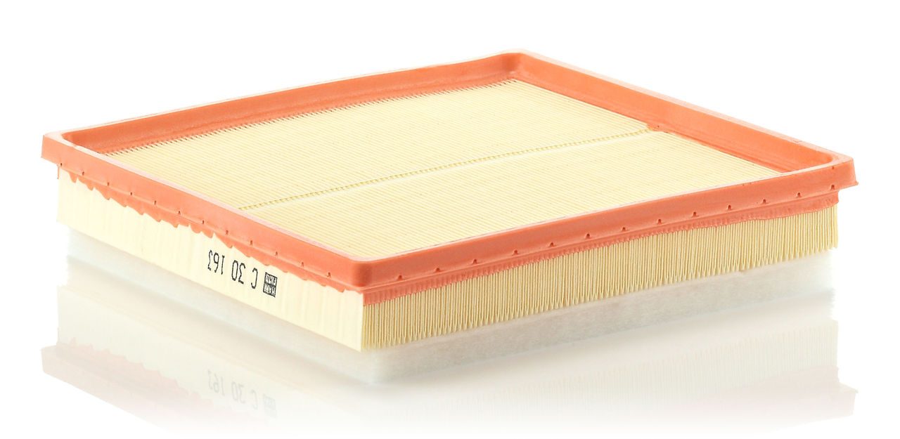 Product Image C30163_MANN-FILTER