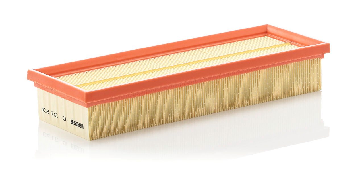 C 3173