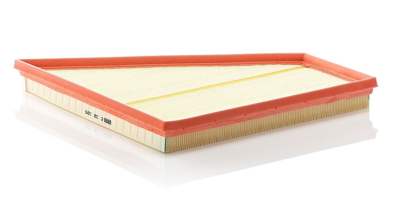 Product Image C32125_MANN-FILTER