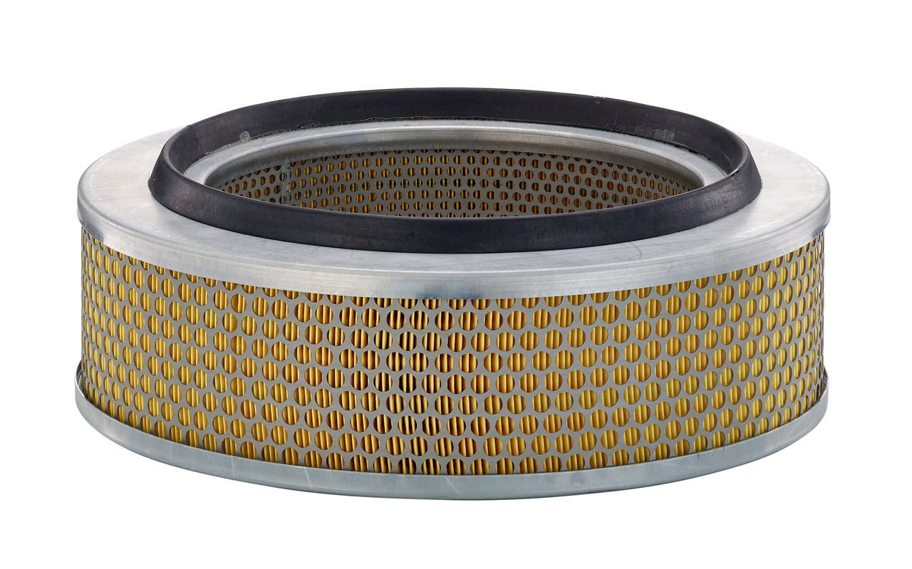 Product Image C33009_MANN-FILTER