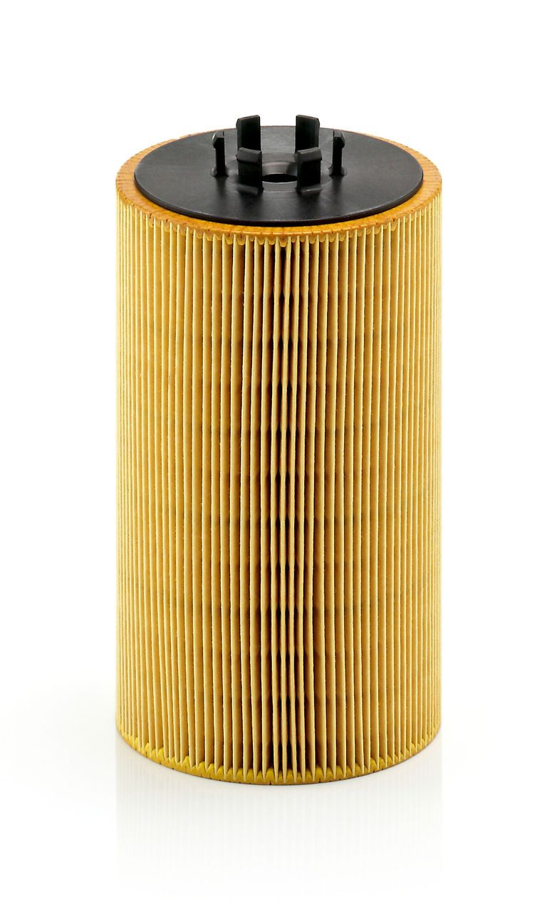 Product Image HU13125X_MANN-FILTER