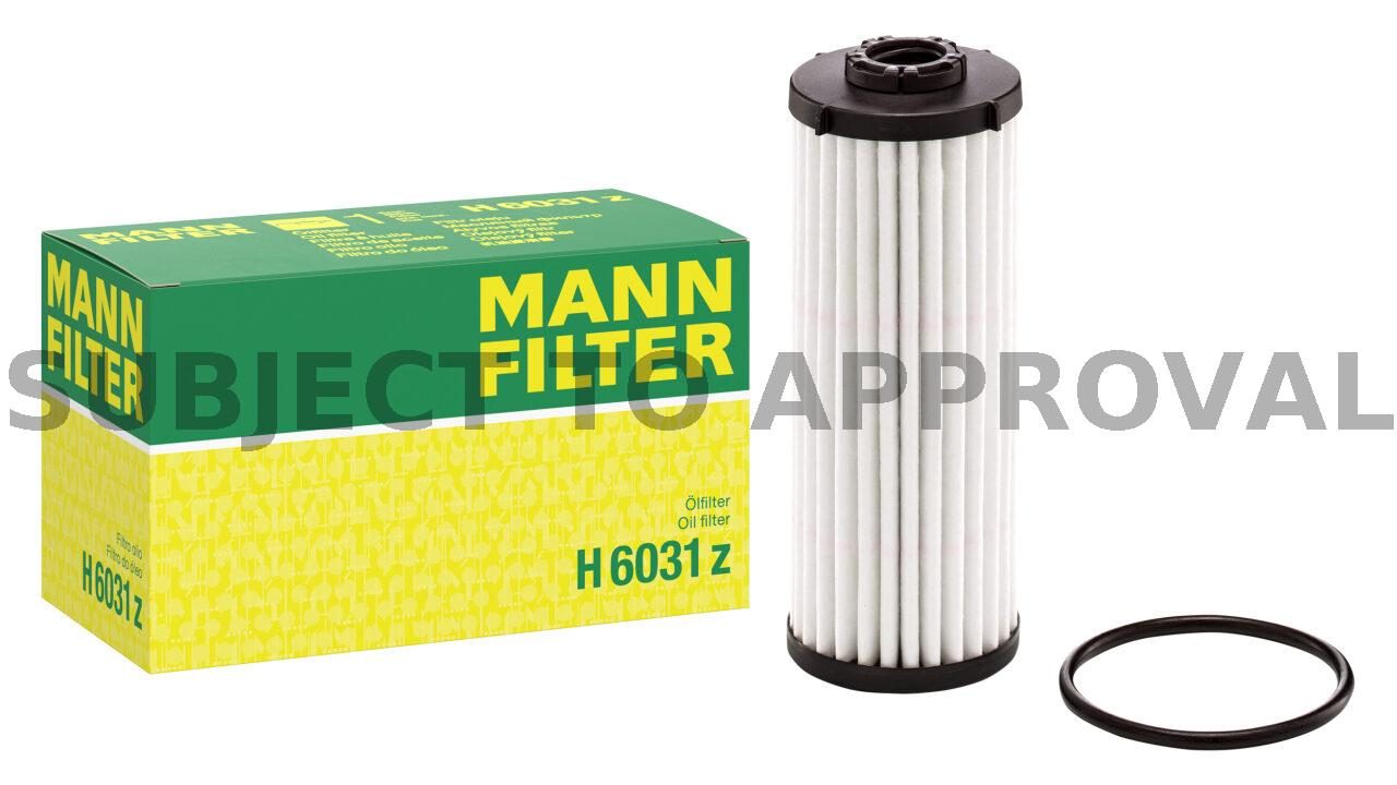 Hydraulic transmission filter - H 6031 z - Box - Ecom - 2500px - MF - 0823 - jpg