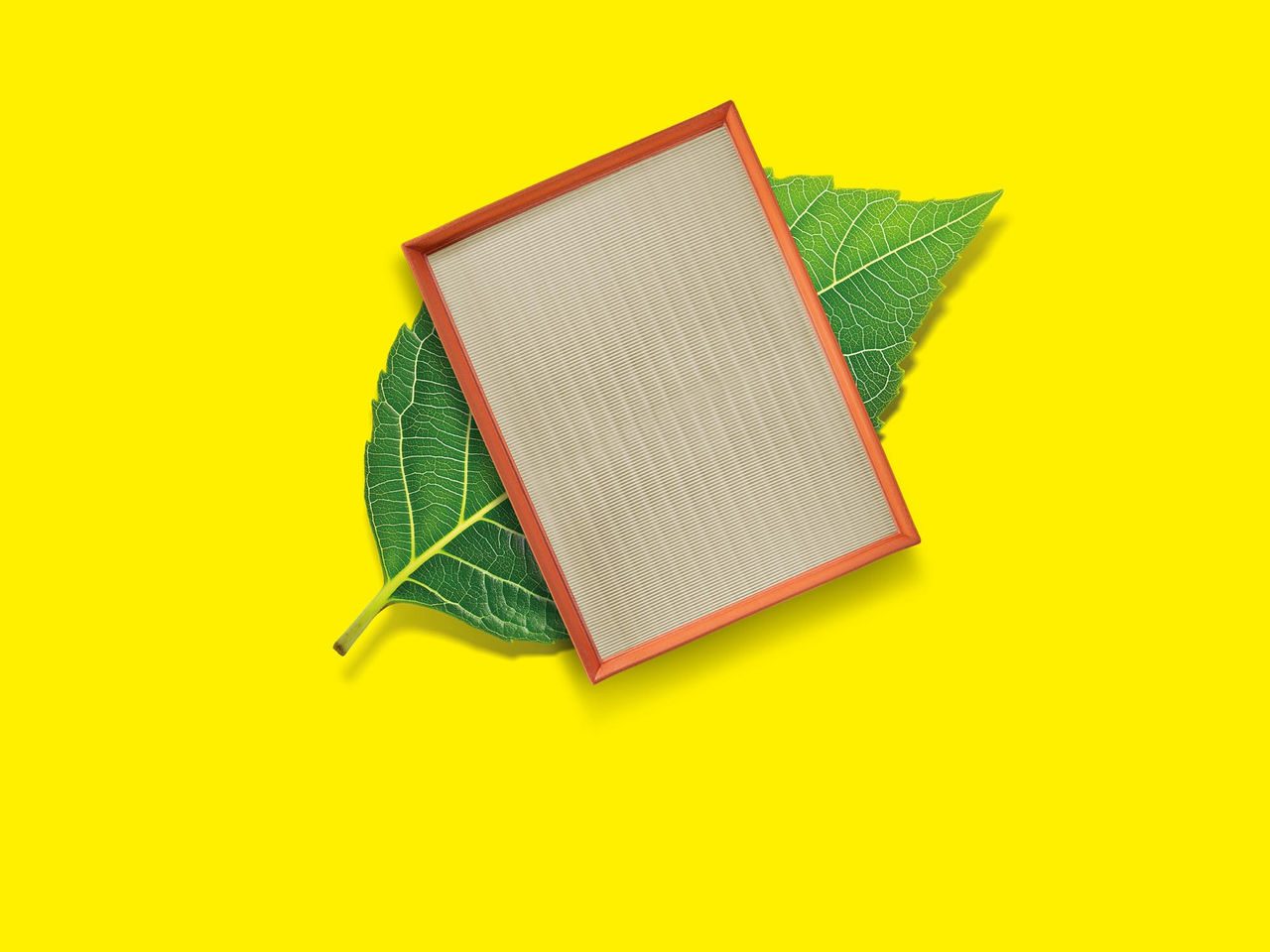 MANN-FILTER go green visual leaf