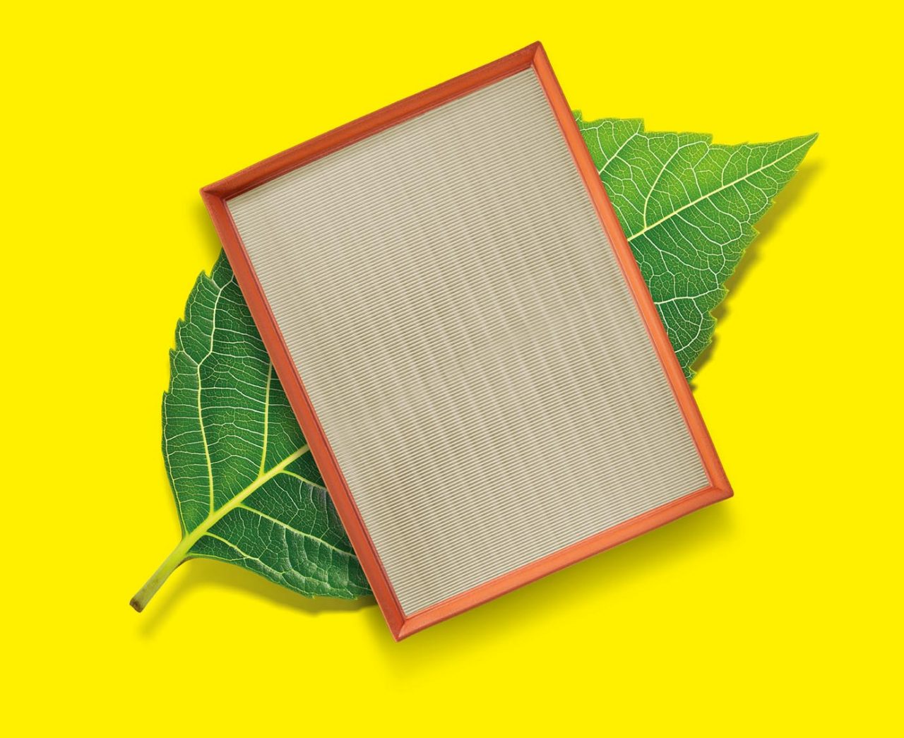MANN-FILTER service: grow your business with us