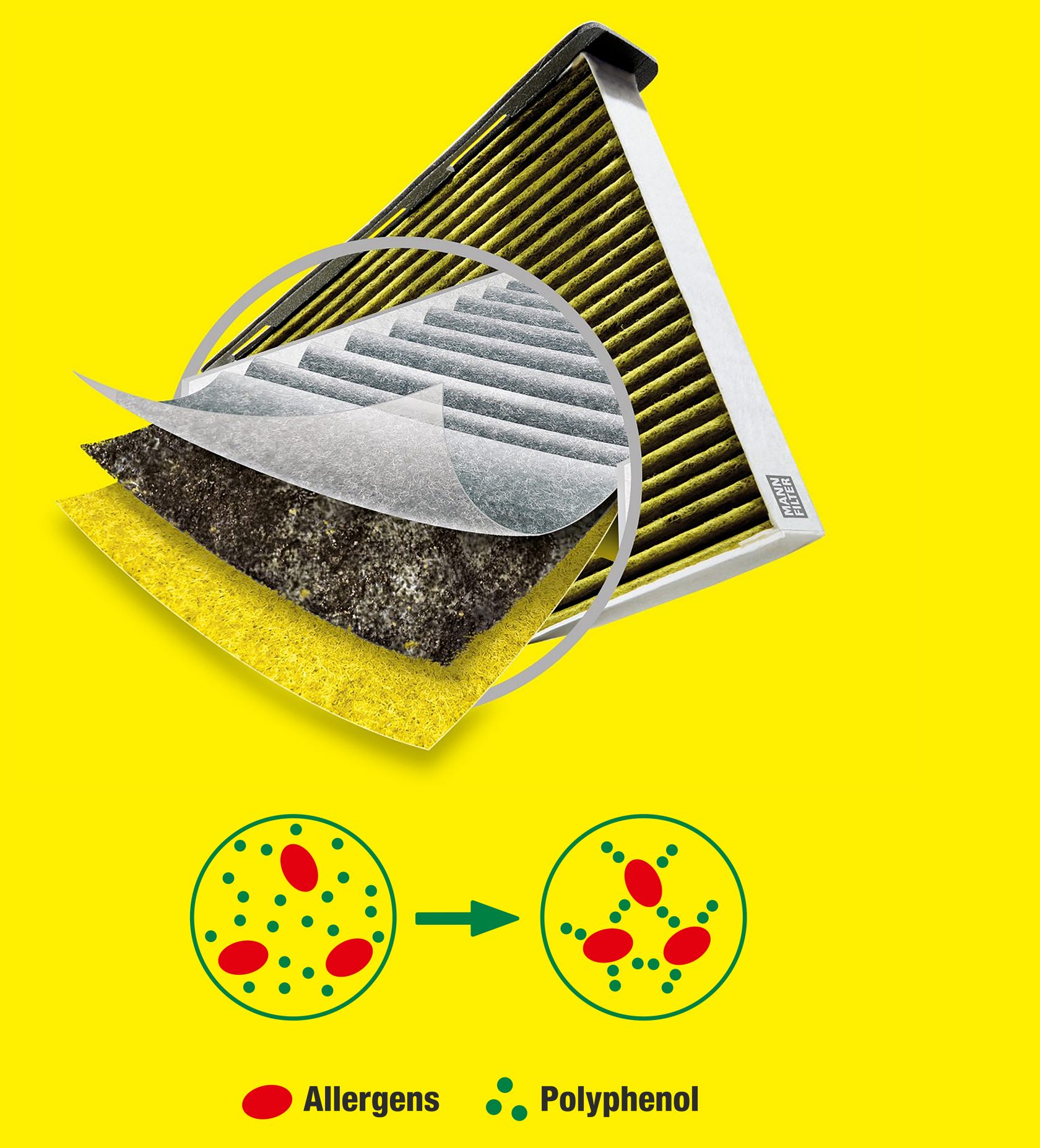 Anti allergen cabin air filters help passengers breathe easy