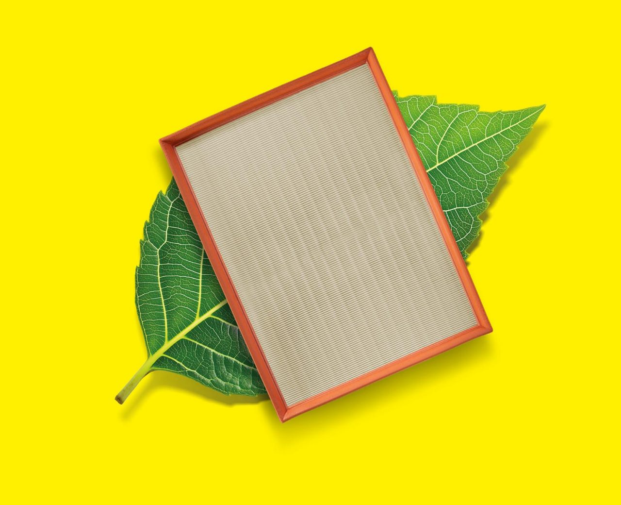 MANN-FILTER service: grow your business with us