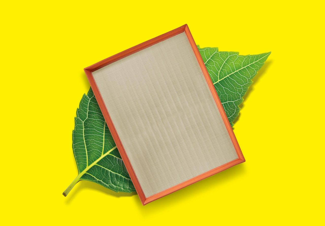 Anti-allergen cabin air filters proctect children of allergens